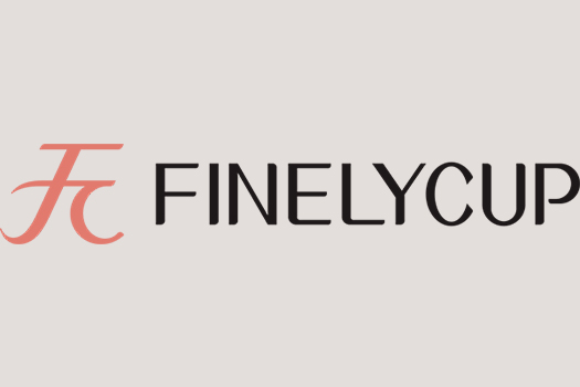 梵妳卡波內(nèi)衣仿站案例